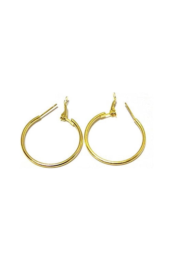 Small Hoop Earrings Gold tone Hoop Earrings 1 inch Hoop Earrings