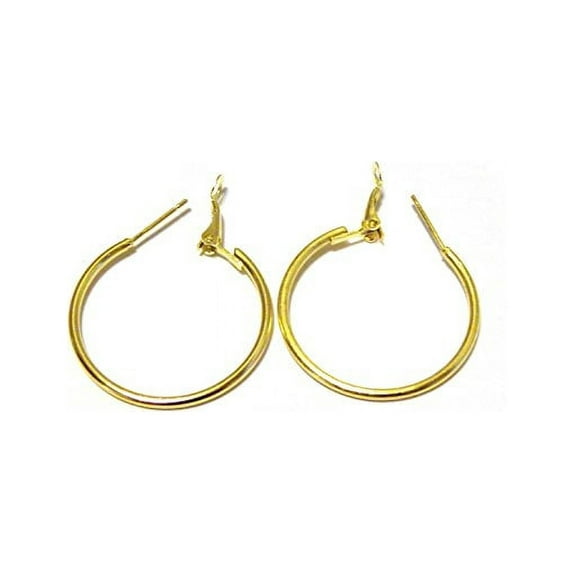 Small Hoop Earrings Gold tone Hoop Earrings 1 inch Hoop Earrings