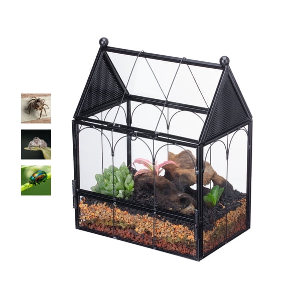 NCYP Small House Shape Spider Enclosure, 5.8" x 3.8" x 6.8" Glass Terrarium with Mesh Vents, Front Opening Habitat for Jumping Spiders, Small Mantis and Beetles (Terrarium Only)