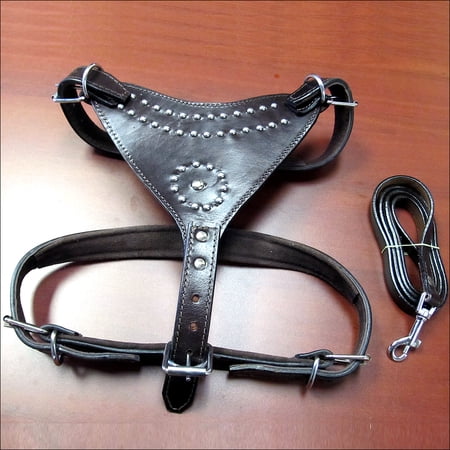 Small Leather Dog Harness Black Genuine With Leash Hilason