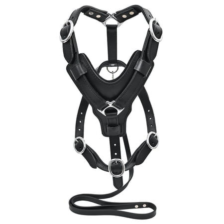 Small Leather Dog Harness Black Padded Genuine Matching Leash Hilason