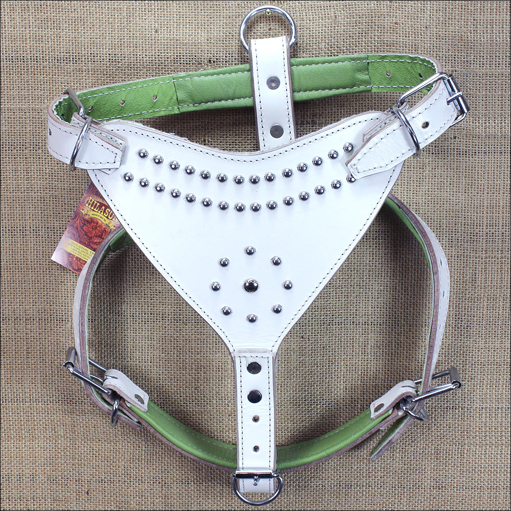 Small Leather Dog Harness Padded Genuine White Hilason