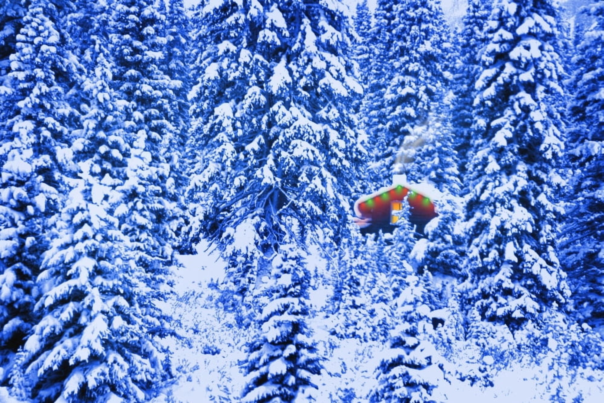 Small Lit Cabin In The Middle Of A Winter Forest Canvas Art - Corey Hochachka Design Pics (17 x 11)