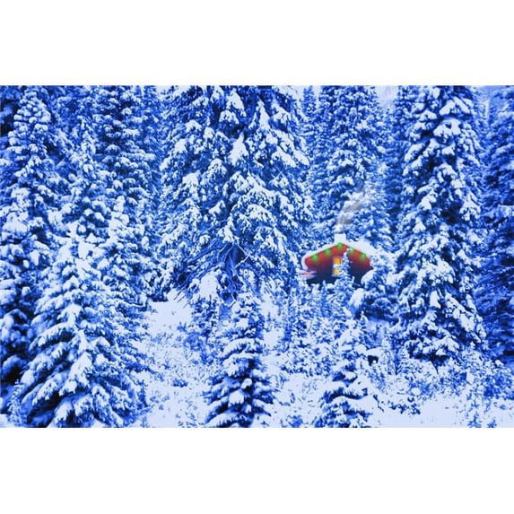 Small Lit Cabin in The Middle of A Winter Forest Poster Print by Corey Hochachka, 34 x 22 - Large