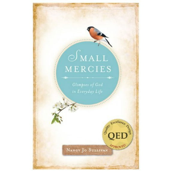 Pre-Owned Small Mercies: Glimpses of God in Everyday Life (Paperback) 0829436952 9780829436952
