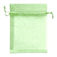 thumbnail image 1 of Small Mesh Bags Drawstring, 3.93X4.72" Breathable Fruit Protection Bags, Garden Netting Bags for Fruit Trees, Reusable Produce Net Bags, Lightweight Mesh Pouches for Vegetables Kitchen Storage, 1 of 5