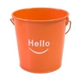 thumbnail image 1 of Small Metal Buckets with Handle, Galvanized Leak Proof Rust Resistant Metal Pail, Decorative Bucket for Party Favors, Classroom Organizing, Flower Pot & DIY Crafts(4.6"*4.3",Orange), 1 of 2