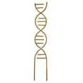 thumbnail image 1 of Small Metal DNA-Shaped Plant Trellis for Indoor & Outdoor Potted Climbing Plants – Elegant Gold Garden Support Stake for Houseplants, 1 of 4