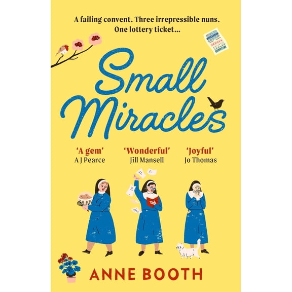 Small Miracles Anne Booth (Paperback)