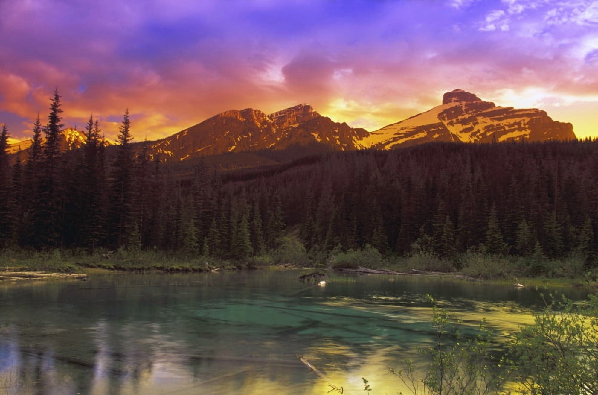 Small Mountain Lake With Submerged Logs Canvas Art - Carson Ganci Design Pics (17 x 11)