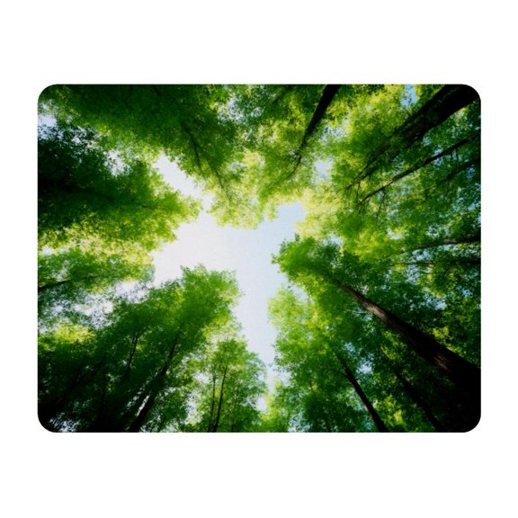 Small Mouse Pad Desk Pad, Office Mouse Mat Non-Slip Rubber Base, Mousepad for Computer Laptop 28x22cm,Fresh Forest