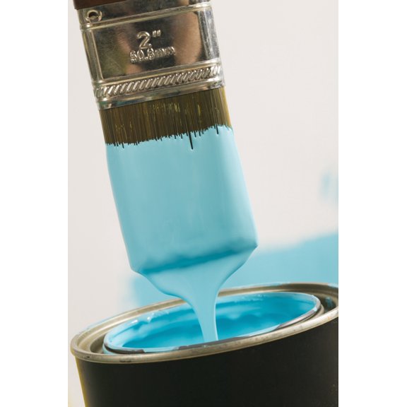 Small Paint Brush Dipped In Paint Canada British Columbia Canvas Art - Lucidio Design Pics (11 x 17)
