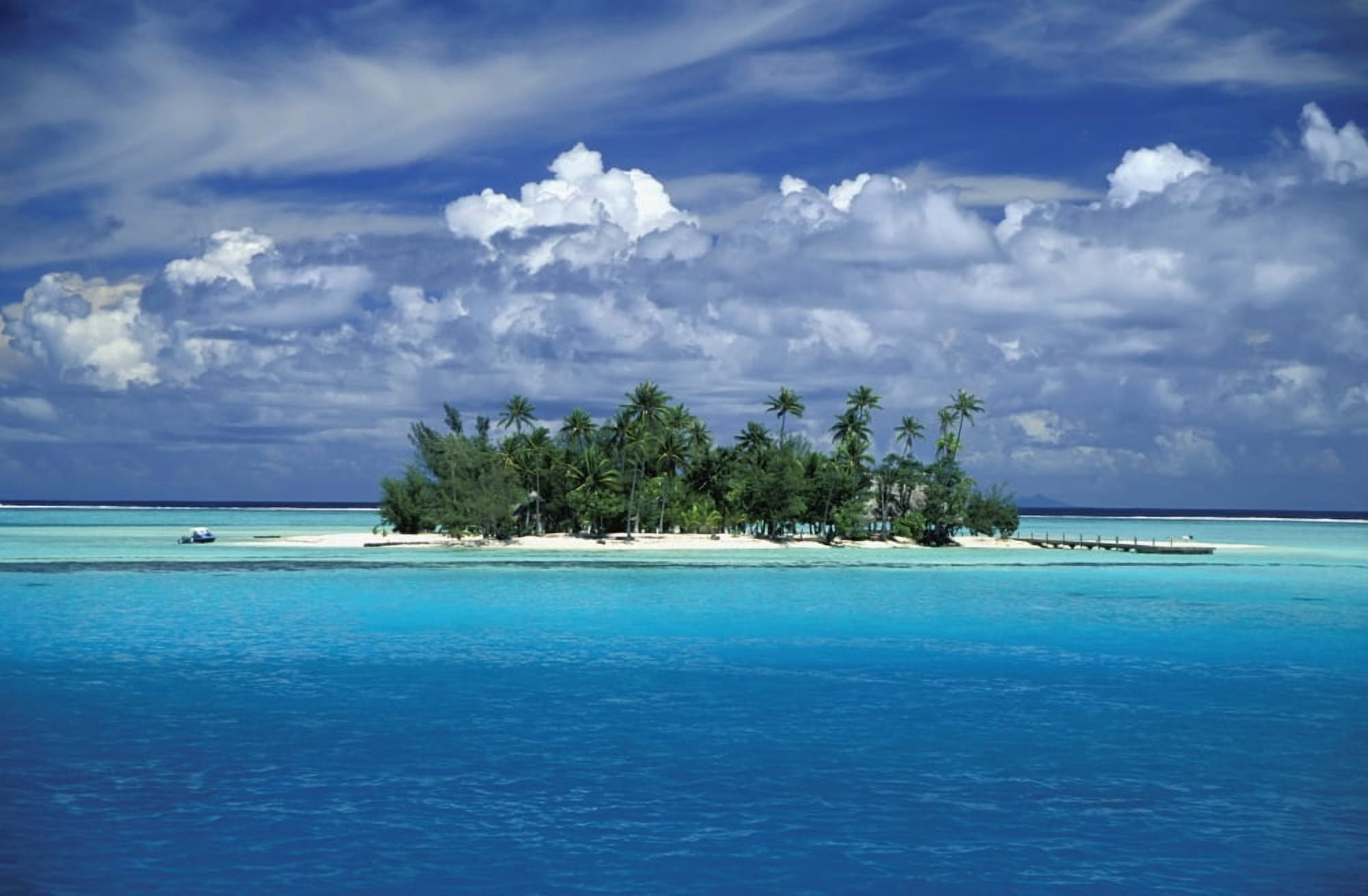 Small Palm Tree Covered Tropical Island Canvas Art - Paul Miles Design Pics (19 x 12)