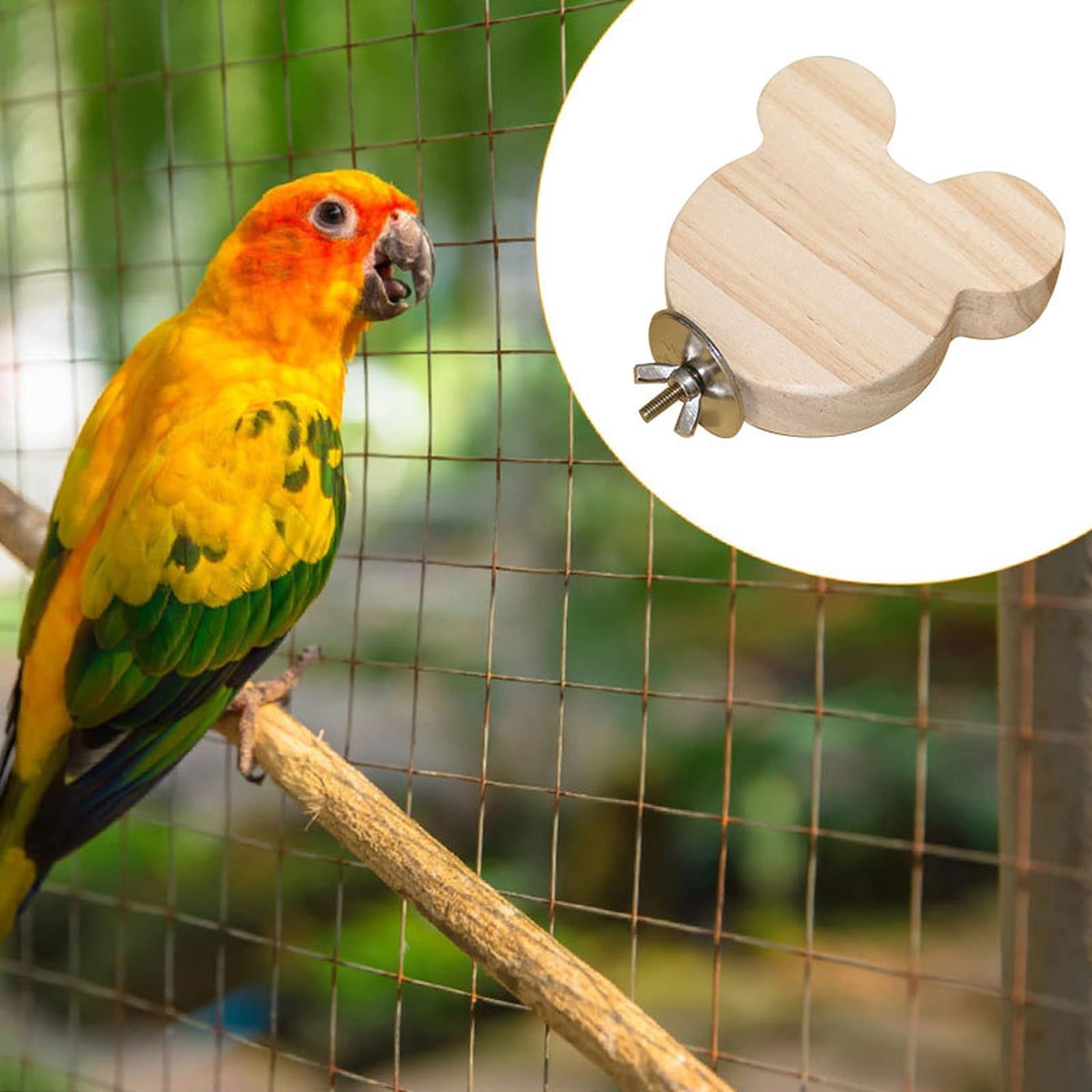 Small Pet Cage Hamster Ramp Parrot Bird Exercise Toy Stand Perch ...