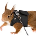thumbnail image 1 of Small Pet Chest Strap and Leash Set 3 Sizes S M L for Growing Squirrels, Adjustable 1.65m Rope Walking Harness, Escape Proof Reflective Lead for Chipmunks Small Animals Outdoor, 1 of 9
