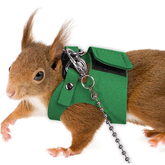Small Pet Chest Strap and Leash Set for Growing Squirrels, 3 Sizes S M L Harness with 1.65m Rope for Chipmunks Small Climbers(Green)