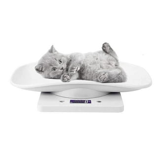 https://i5.walmartimages.com/seo/Small-Pet-Digital-Scale-Puppy-Kitten-Weight-Measuring-Scale-Multi-use-Digital-Scale_a176c425-0399-445b-a695-bc214c103407.e500ebc742e1a06ad733694a28391122.jpeg?odnHeight=320&odnWidth=320&odnBg=FFFFFF