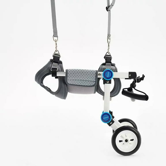 Small Pet Dog Wheelchair, Walking Assisted Wheelchair Car