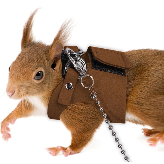 Small Pet Harness & Leash Set, Adjustable Escape Proof Vest Harness for Squirrel Lizard Reptile Walking Anti-Escape Outdoor Lead