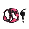 thumbnail image 1 of Small Pet Harness Leash Set Escape-Proof Vest for Puppies & Kittens, Adjustable Cat Walking Kit, Soft Breathable Mesh, Chest 12-16 Inches, 1 of 3