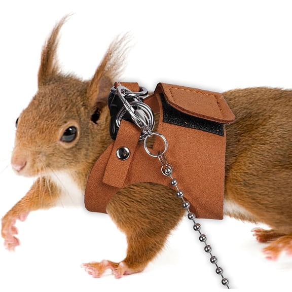 Small Pet Harness, Small Animal Leash Set, Squirrel Walking Harness, Adjustable Chest Strap, 1.65m Rope, Polyester, 3 Sizes S M L, Brown, Black, Orange, Blue, Green, Gray