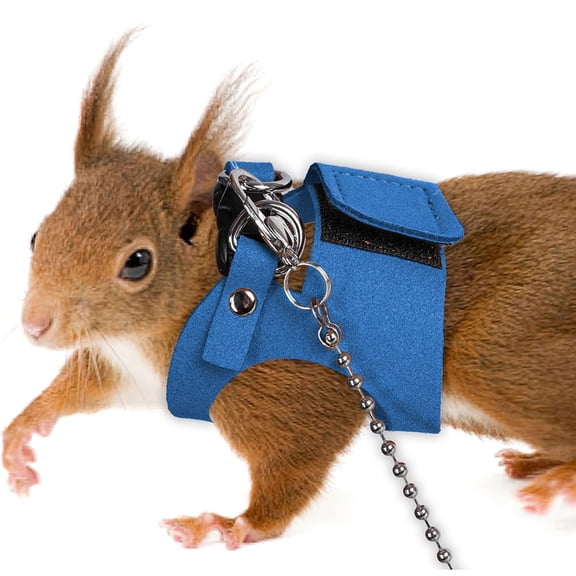 Small Pet Harness, Small Animal Leash Set, Squirrel Walking Harness, Adjustable Chest Strap, 1.65m Rope, Polyester, 3 Sizes S M L, Brown, Black, Orange, Blue, Green, Gray