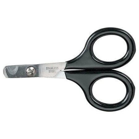Small Pet Nail Scissors Cat & Bird Grooming Claw Care Black Handles Choose Size (Small - 3.5")