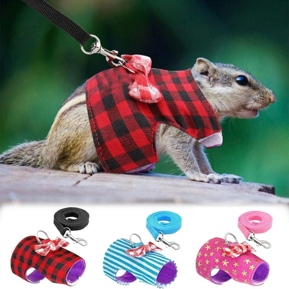 Small Pet Outdoor Walking Harness Vest and Leash Set with Cute Bowknot Decor Chest Strap Harness for Rat Ferret Hamster Squirrel Clothes Accessory