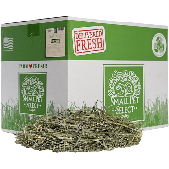 Small Pet Select 1st Cut Timothy Hay Pet Food for Rabbits, Guinea Pigs, and other Small Animals, Easy to Store Box, 20 LB