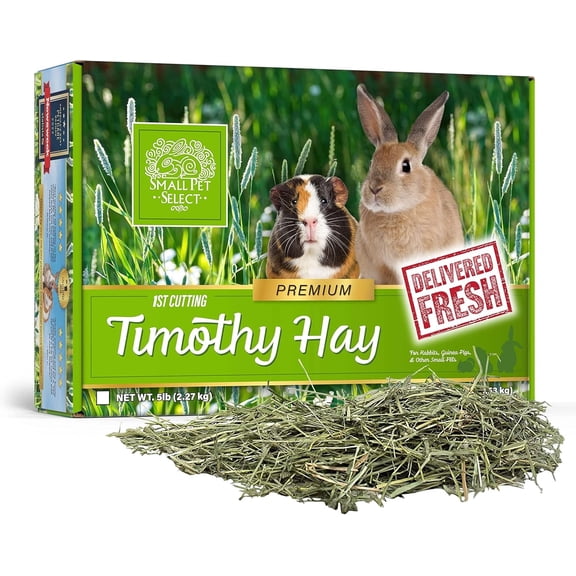 Small Pet Select 1st Cut Timothy Hay Pet Food for Rabbits, Guinea Pigs, and other Small Animals, Easy to Store Box, 5 LB
