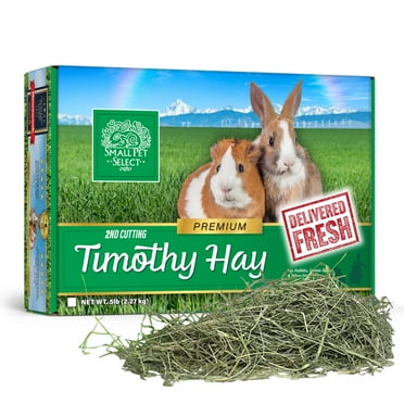 Small Pet Select 2nd Cutting Perfect Blend Timothy Hay Pet Food for Rabbits, Guinea Pigs, Chinchillas and Other Small Animals, Premium Natural Hay Grown in The US, 12 LB