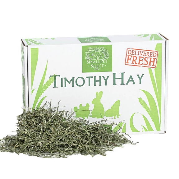 Small Pet Select 2nd Cutting Timothy Hay Pet Food, 10-Pound