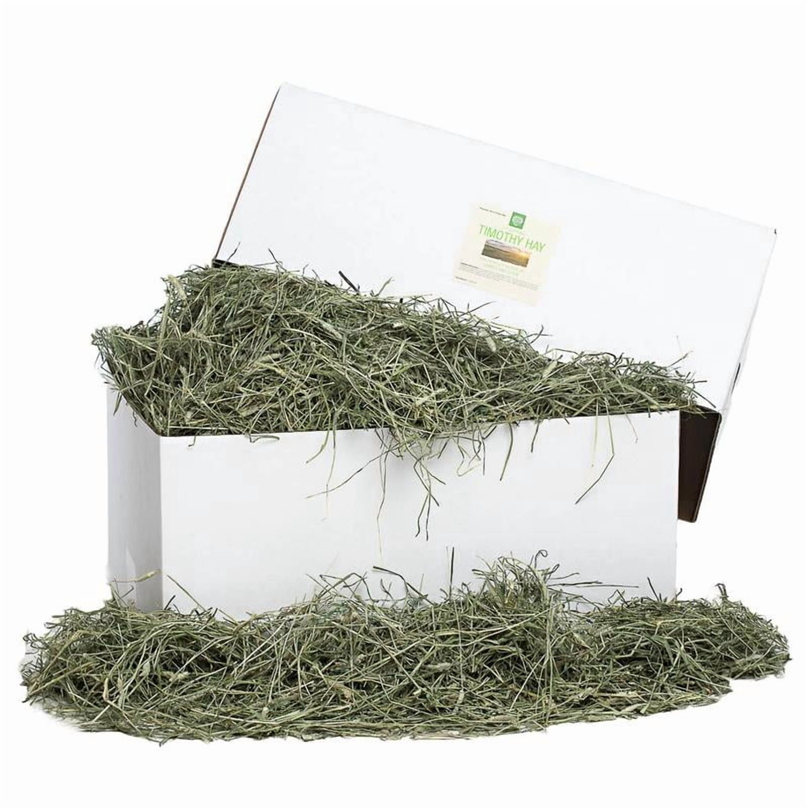 Small Pet Select 2nd Cutting Timothy Hay Pet Food, 25-Pound