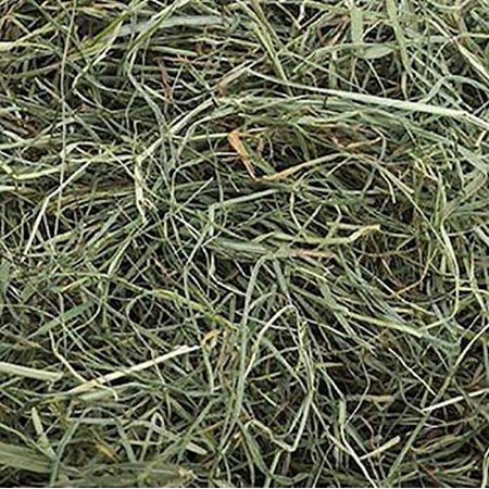 Small Pet Select 3Rd Cutting "Super Soft" Timothy Hay Pet Food, 2 Lb.