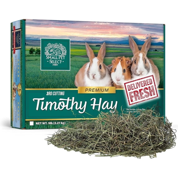 Small Pet Select 3rd Cutting Super Soft Timothy Hay Pet Food for Picky Eaters, Rabbits, Guinea Pigs, and Other Small Animals, Easy to Store Box, 10 LB