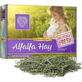 thumbnail image 1 of Small Pet Select Alfalfa Hay Pet Food, 2 lb., 1 of 6