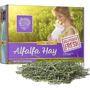 Small Pet Select Alfalfa Hay Pet Food, 2 lb.