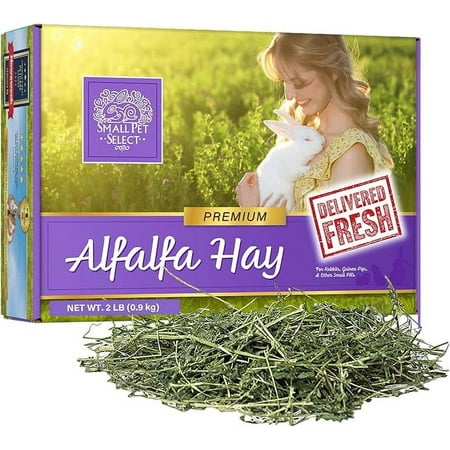 Small Pet Select Alfalfa Hay Pet Food, 2 lb.