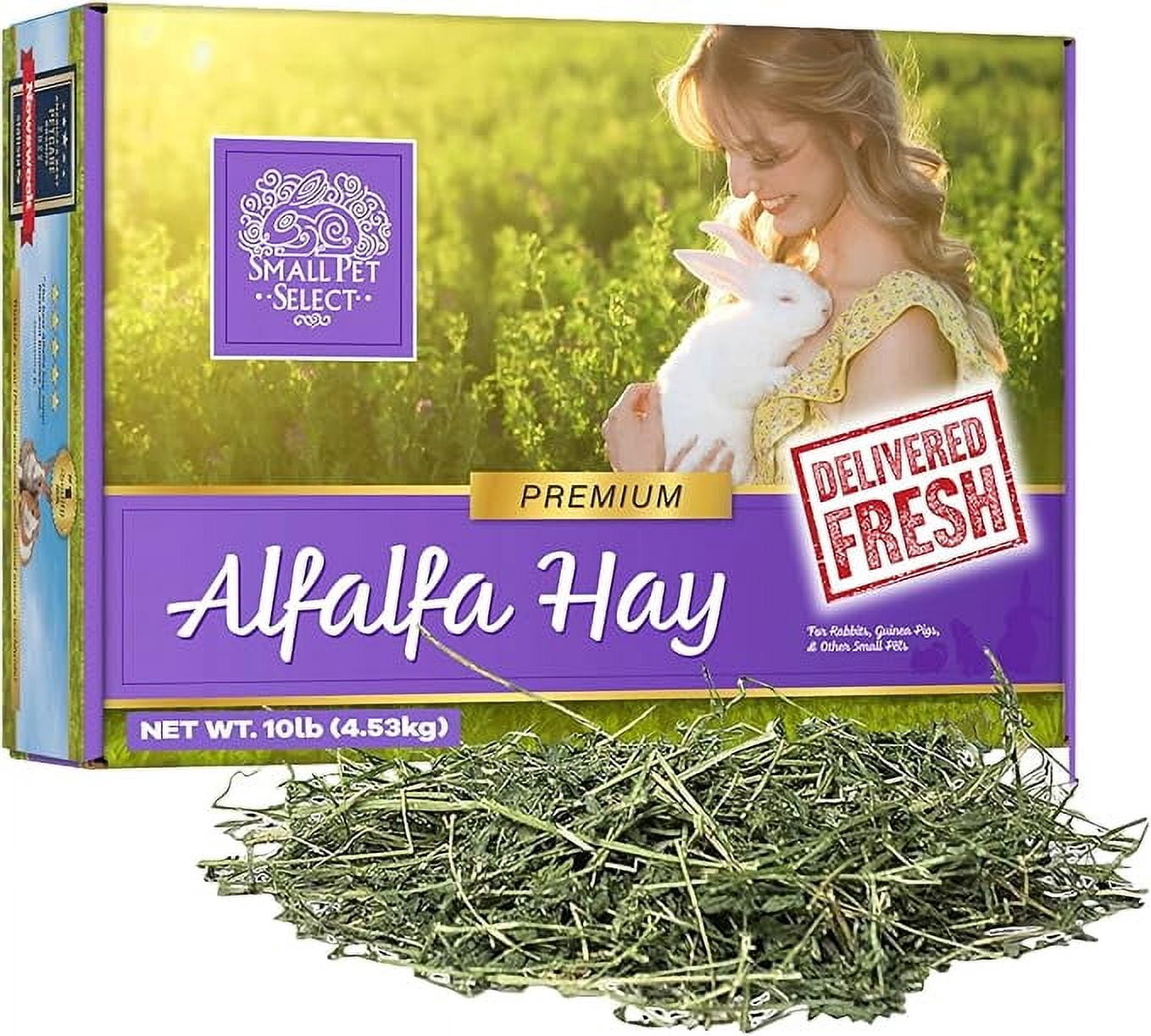 Small Pet Select Alfalfa Hay Pet Food for Young Rabbits, Guinea Pigs, Chinchillas, Tortoises and Other Small Animals, Easy to Store Box, 10 LB