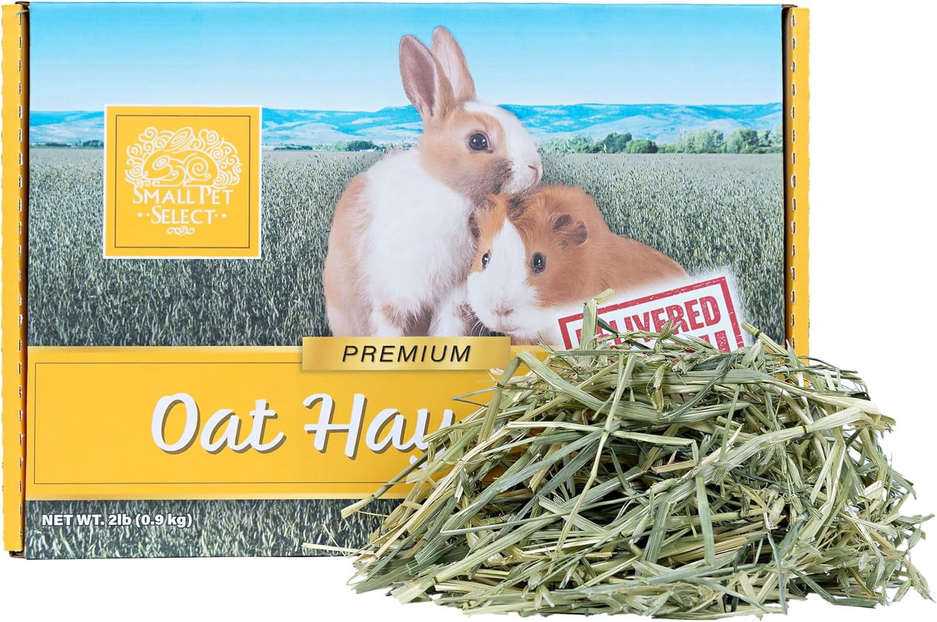 Small Pet Select Oat Hay Pet Food, 2 Lb.
