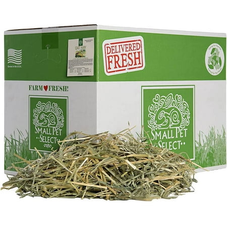 Small Pet Select Oat Hay Pet Food, 20 Lb.