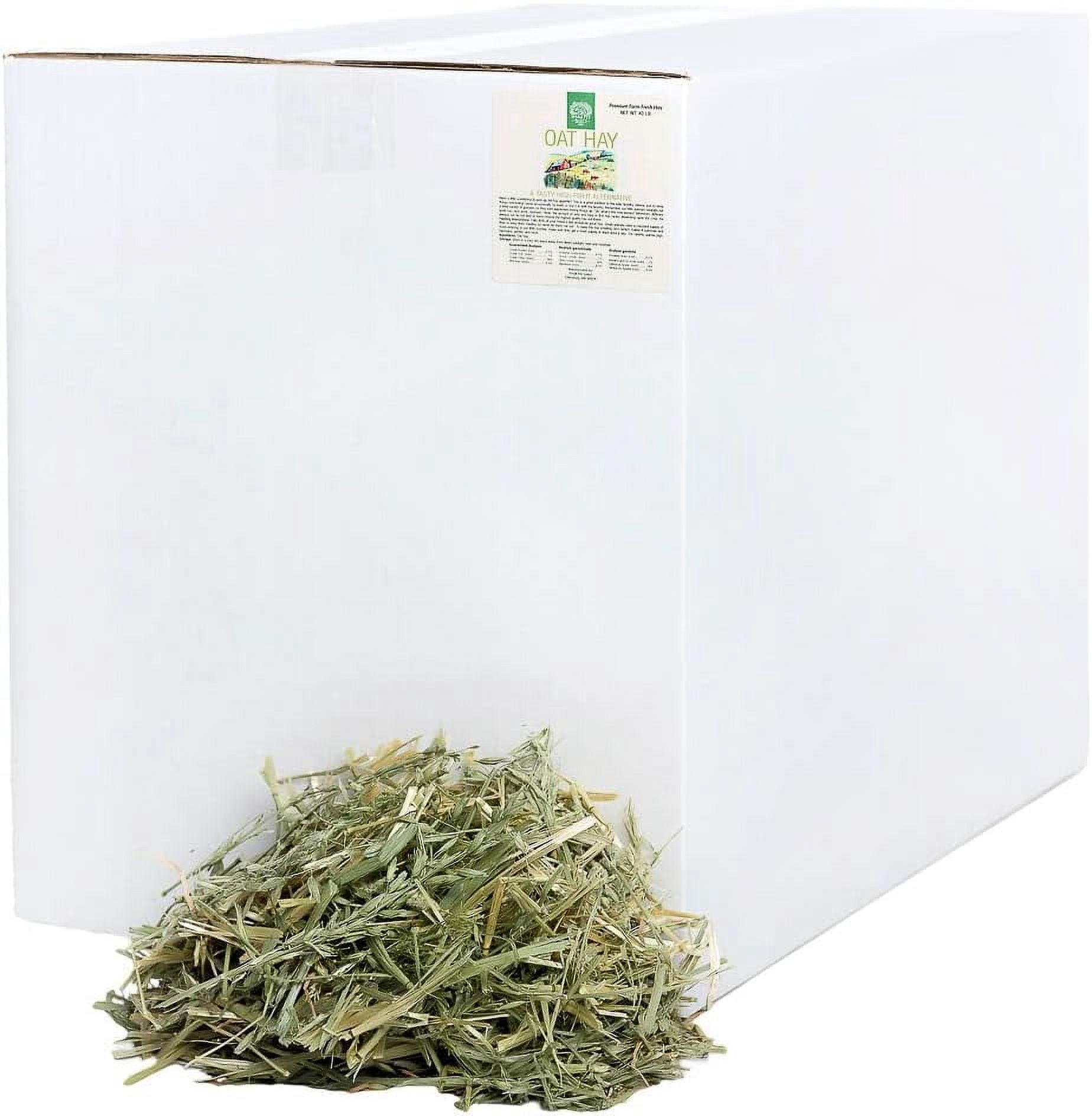 Small Pet Select Oat Hay Pet Food, Delightful Treat for Rabbits, Guinea Pigs and Other Small Animals, Easy to Store Box, Food Additive for Picky Eaters, 40 LB