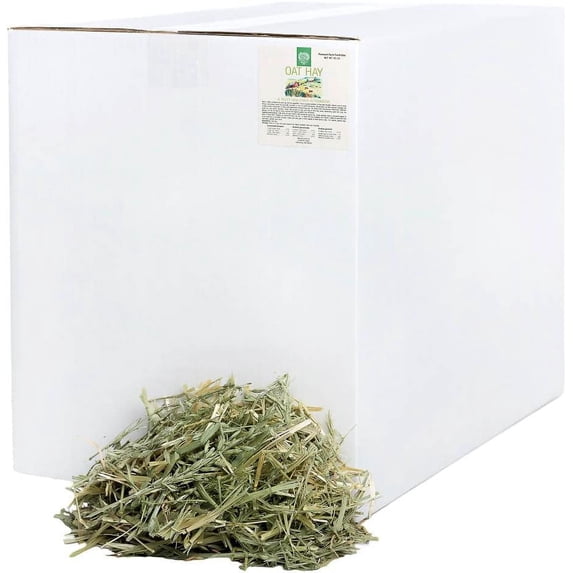 Small Pet Select Oat Hay Pet Food, Delightful Treat for Rabbits, Guinea Pigs and Other Small Animals, Easy to Store Box, Food Additive for Picky Eaters, 40 LB