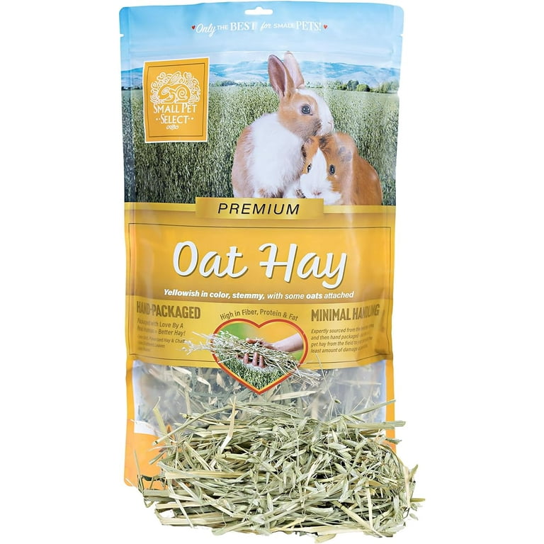 Oat hay for guinea pigs best sale