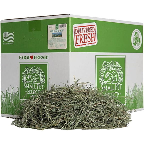 Small Pet Select Orchard Grass Hay Pet Food, 20 Lb.