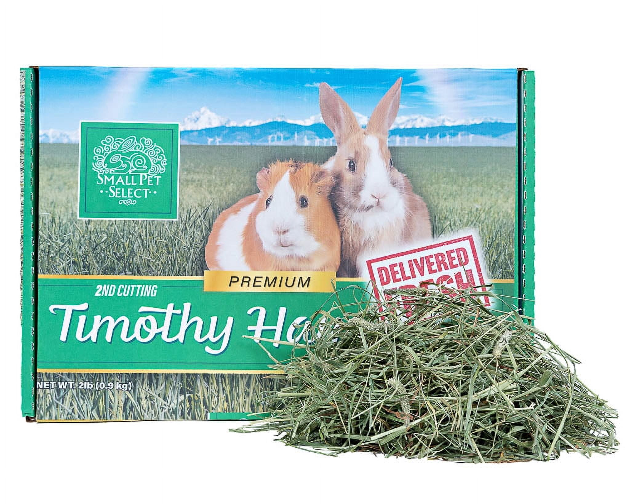 Small Pet Select Perfect 2nd Cutting Timothy Hay Blend, Healthy Food