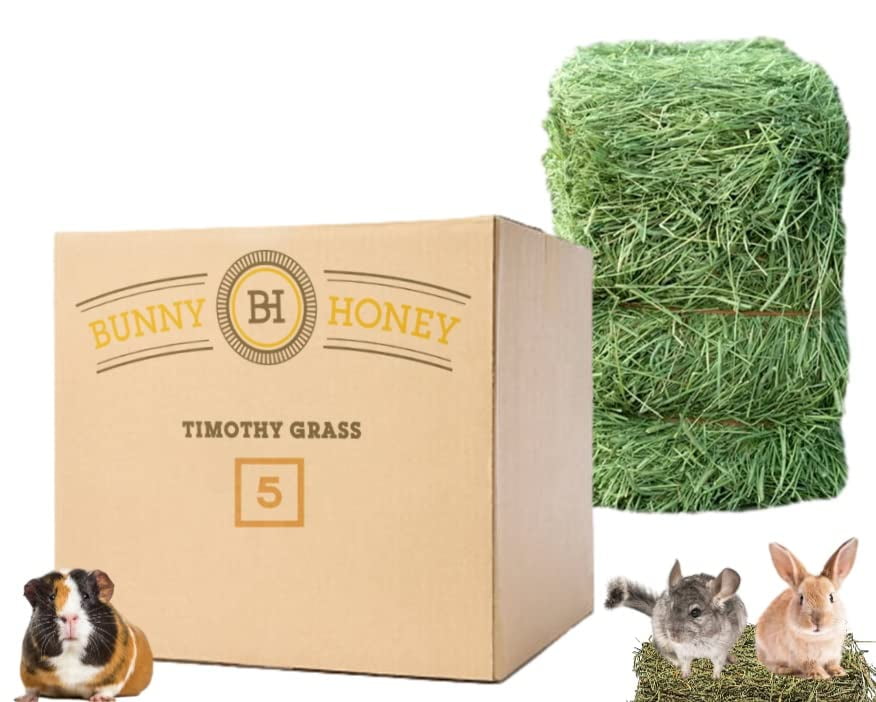 Small Pet Timothy Hay 80 oz by Bunny Honey All Natural Feed/Bedding