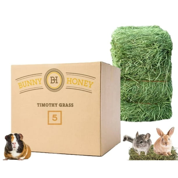 Small Pet Timothy Hay 80 oz by Bunny Honey All Natural Feed/Bedding for Pets Rabbits, Guinea
