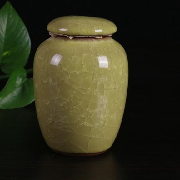 Small Pet Urn Bird Dog Pet Urns Cremation Pet Caskets Funeral Vase Cat Cremation Ash Made Ceramics Hand Painted