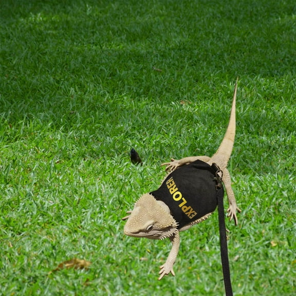 Small Pig Apparel Harness Leash Set Handmade Photo Prop Outdoor Walking Training Bearded Clothes Pet Accessories